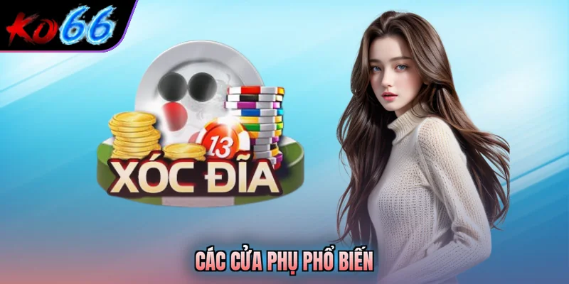 Các cửa phụ phổ biến