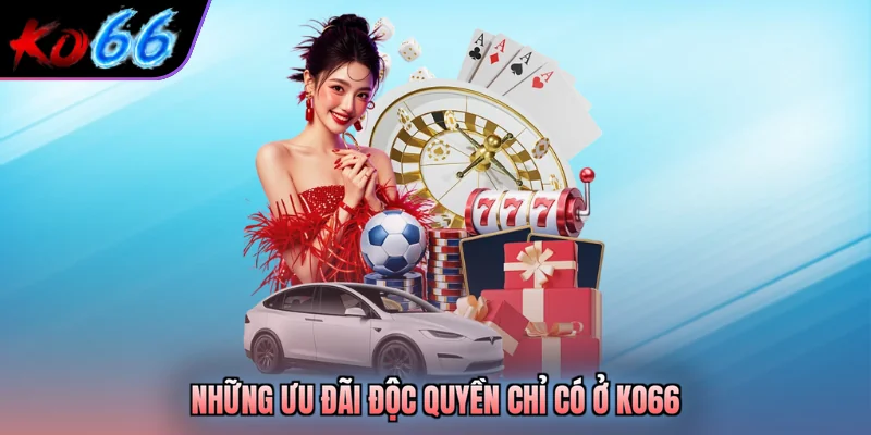 Những ưu đãi độc quyền chỉ có ở KO66