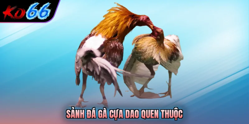 Sảnh đá gà cựa dao quen thuộc